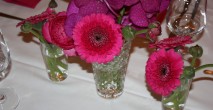 IMG_7566[1]
